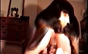 dog sex, animal fuck porn