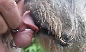 sex with animals, dog sex