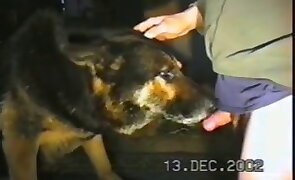 animal fuck porn, woman and animal