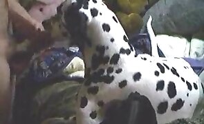 hardcore zoo porn, animal fuck porn