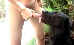 gay bestiality, bestiality movies