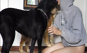 animal fucking, animal fuck porn