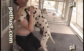 guy fucks animal, animal fuck porn