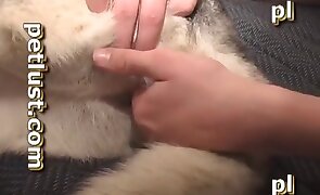 sex with animals, dog sex