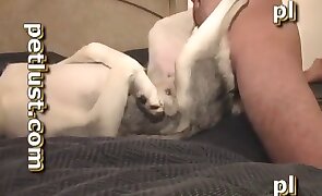 sex with animals, dog sex