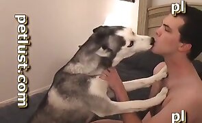 sex with animals, dog sex