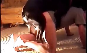 guy fucks animal, animal fuck porn
