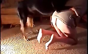 guy fucks animal, animal fuck porn