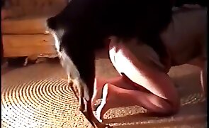 guy fucks animal, animal fuck porn