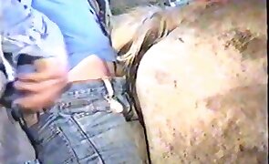 horse sex, animal fucking