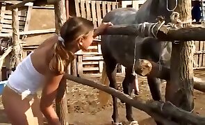 horse sex, animal fuck porn