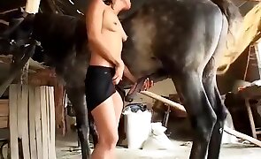 blonde, pony porn