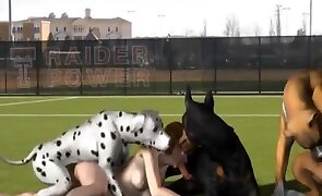 beastiality porn, zoo porn tube