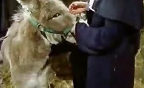 beastiality porn, hentai zoophilia