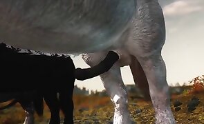 beastiality porn, sex with animals