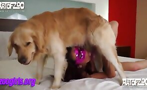 dog sex, blowjob