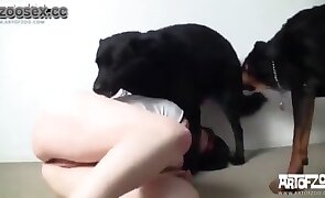 hardcore zoo porn, dog sex