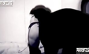 dog sex, sex with animals