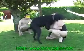 outdoors, dog sex