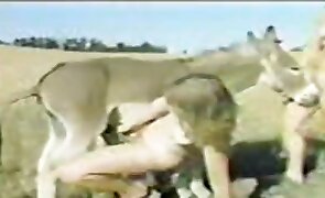retro zoophilia, bestiality movies