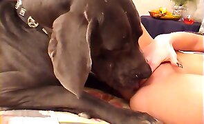 redhead, woman and animal