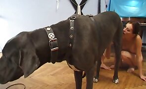 girl fucks animal, sex with animals