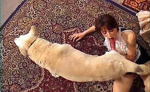bestiality videos, girl fucks animal