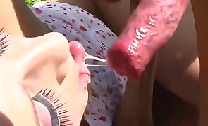 dog sex, animal fucking