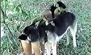 girl fucks animal, sex with animals