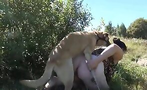 dog sex, animal fuck porn