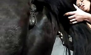 horse sex, sex with animals