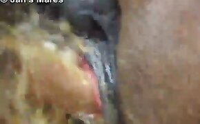 gay zoophilia, beastiality videos