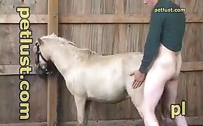 zoo fuck porn, animal porn