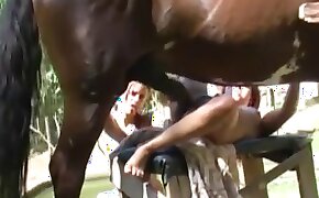 well-endowed, horse sex