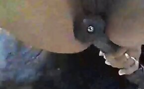 brunette, girls fuck animals