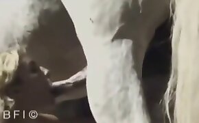 zoo porn videos, sex with animal