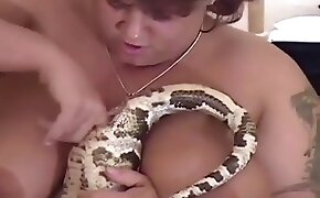 free zoo porn, animal porn