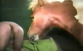 black, cock