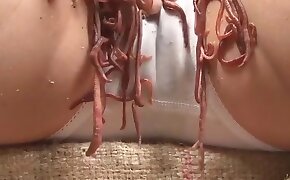 matoja,eläinperäisyyden videoita
