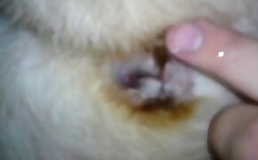 dog porn,zoo fuck porn