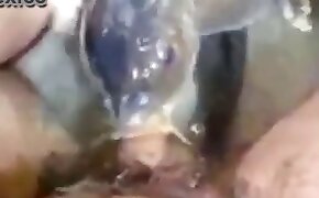 fish,dog porn