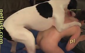 dog porn,zoo fuck porn