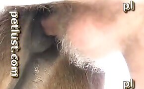 animal porn,zoo fuck porn