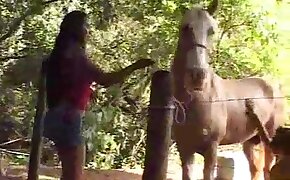 horse sex,zoo fuck porn