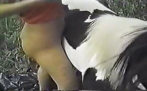 blondinka,dekleta jebejo živali