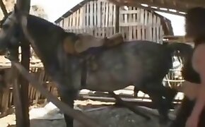 pony,dyreporno