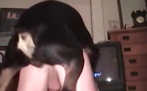 gay zoophilia,zoo porn videos