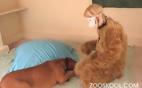 dog porn,girls fuck animals