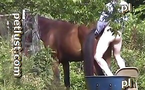 girls fuck animals,bestiality porn