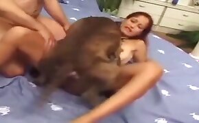 フェラチオ,犬のポルノ
